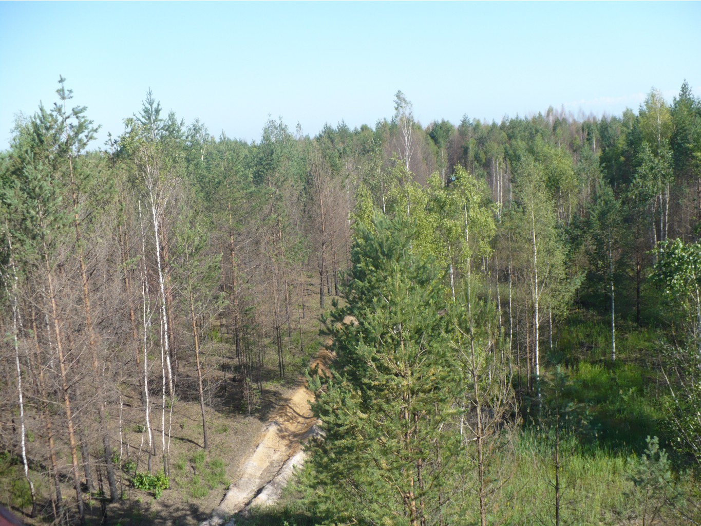 P1070477.JPG