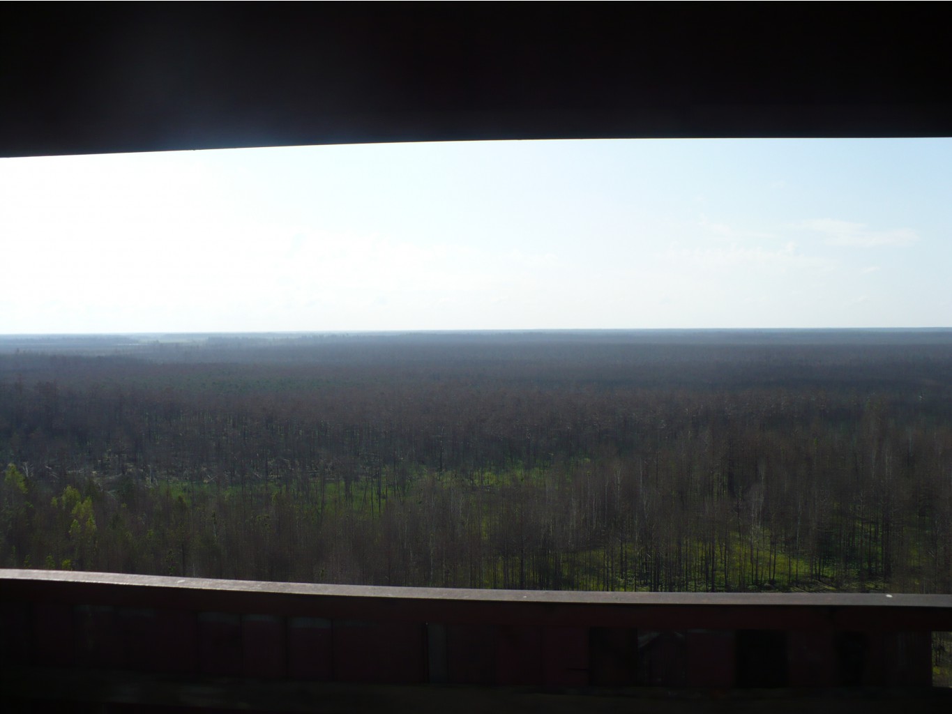 P1070517.JPG