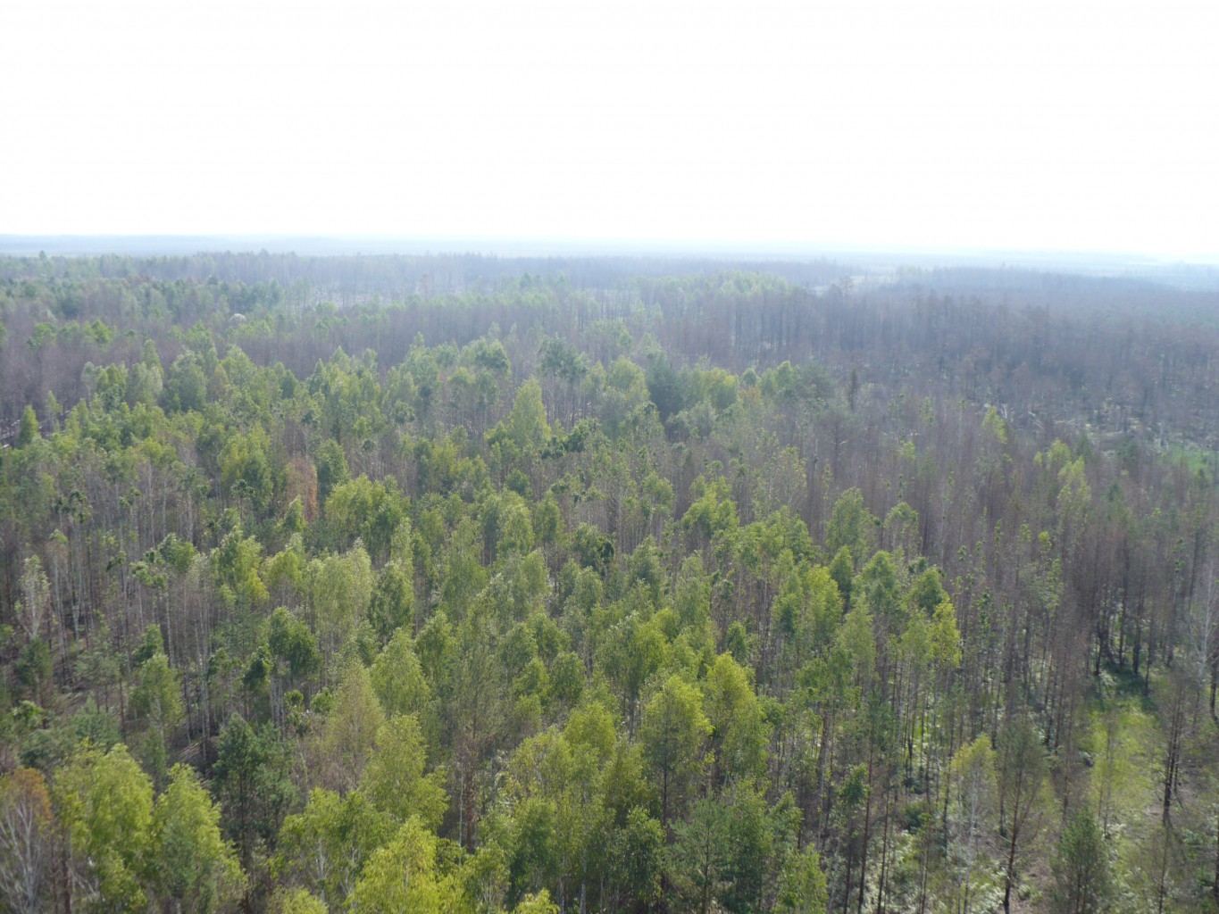 P1070521.JPG