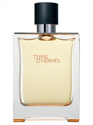 Terre d\'Hermes Hermes  
