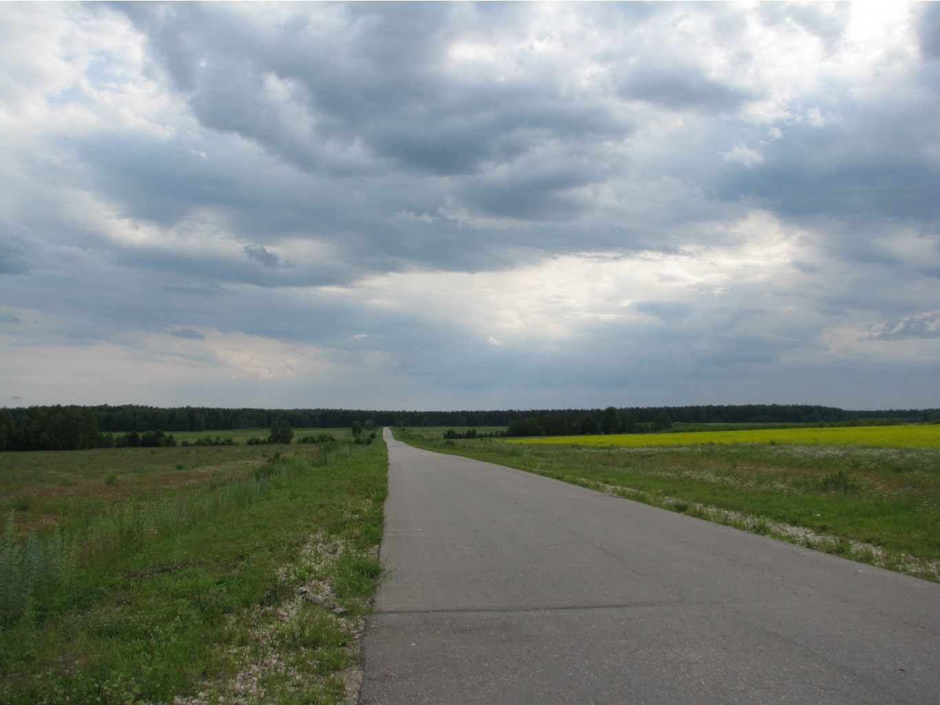 10.07.2008_12.jpg