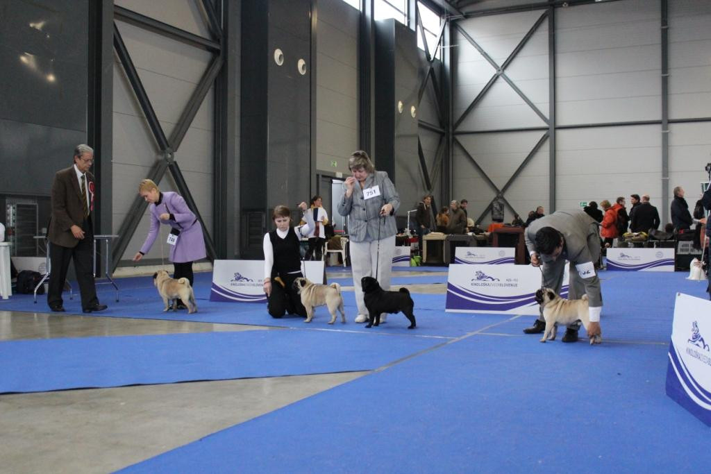 2013_01_12_7128.JPG