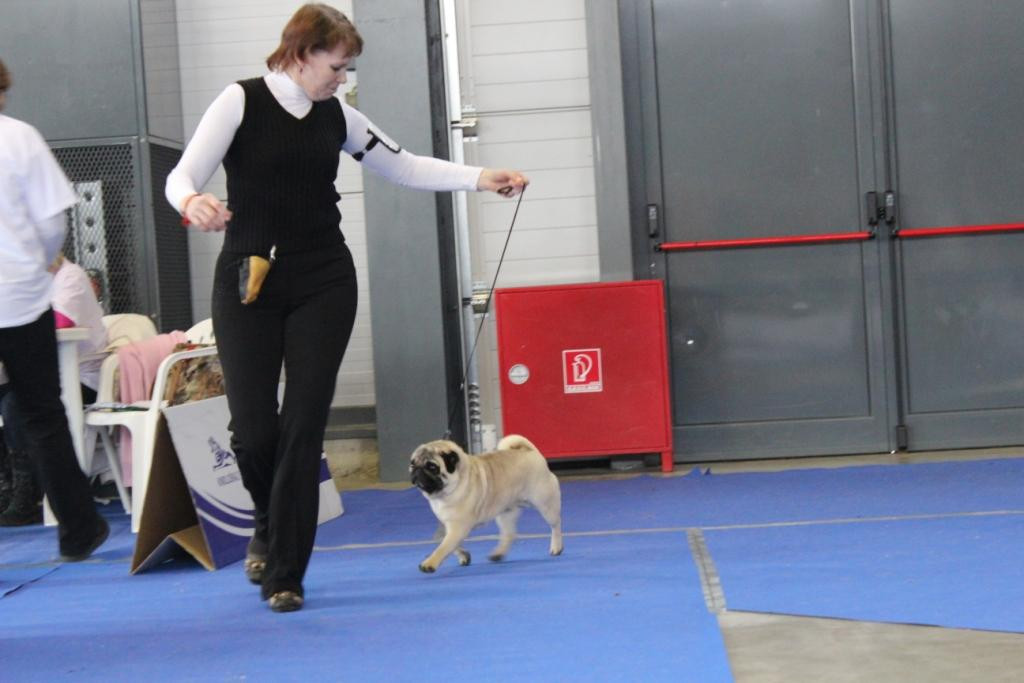 2013_01_12_7137.JPG