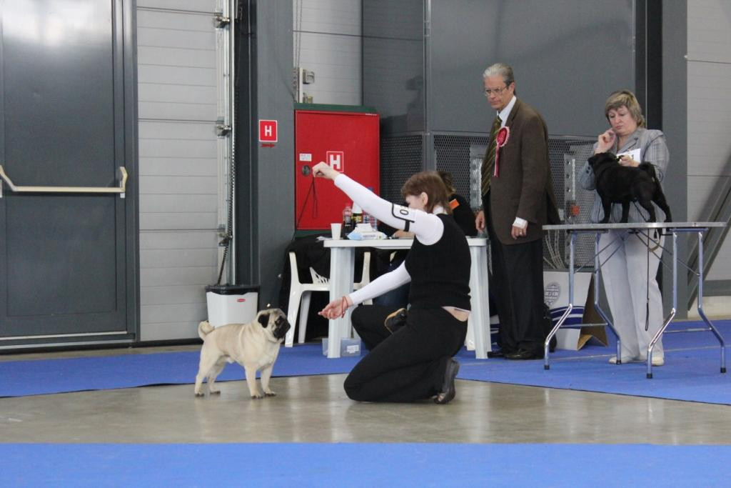 2013_01_12_7151.JPG