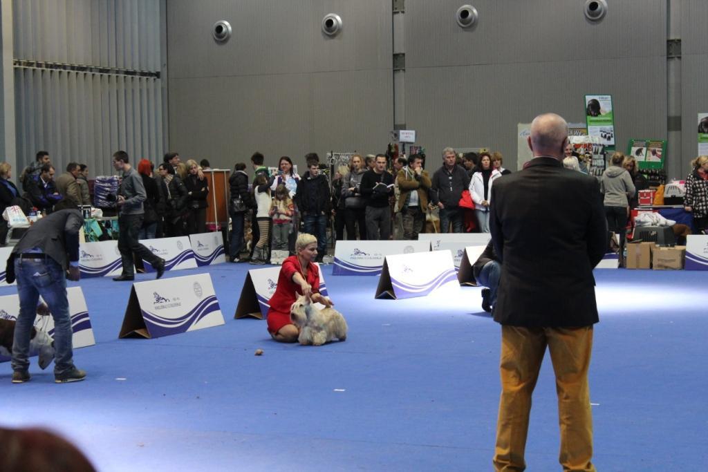 2013_01_13_7237.JPG