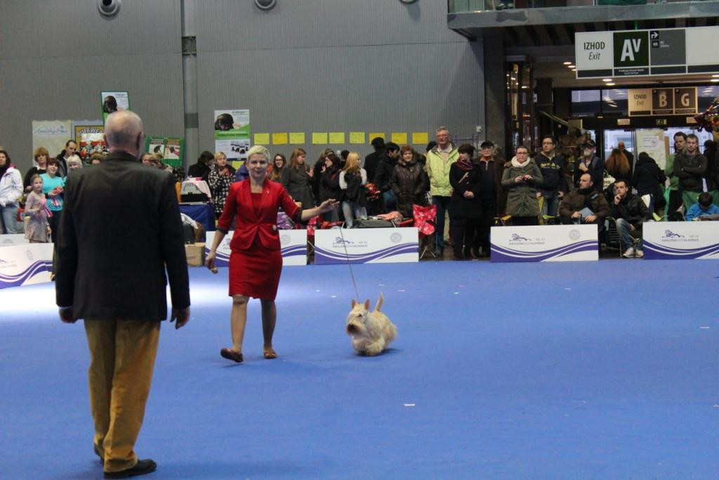 2013_01_13_7253.JPG