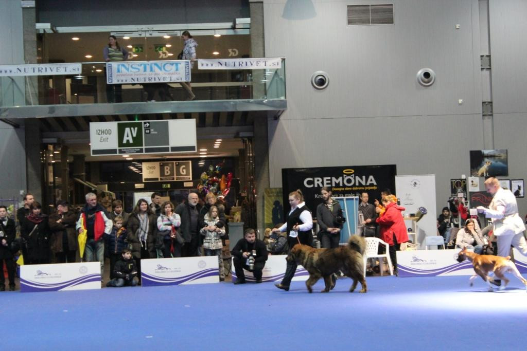 2013_01_13_7315.JPG