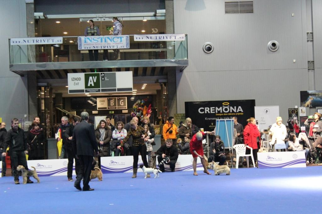 2013_01_13_7340.JPG