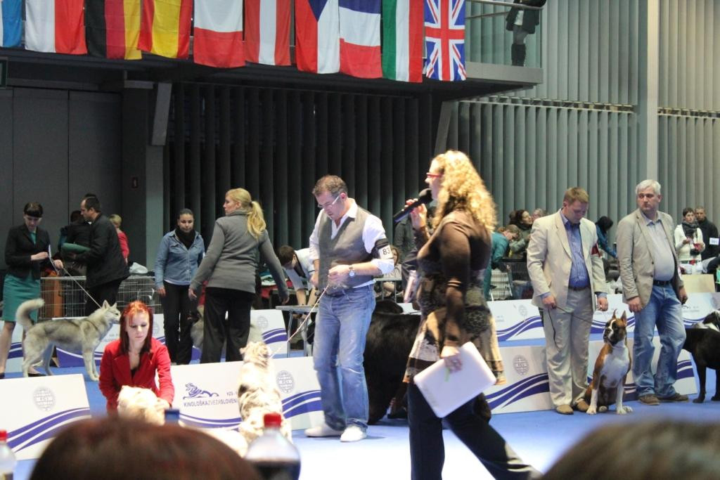 2013_01_13_7352.JPG