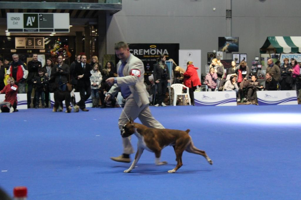 2013_01_13_7369.JPG