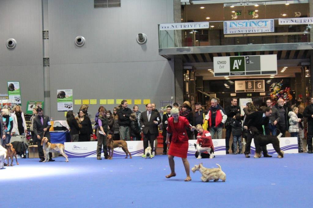 2013_01_13_7386.JPG