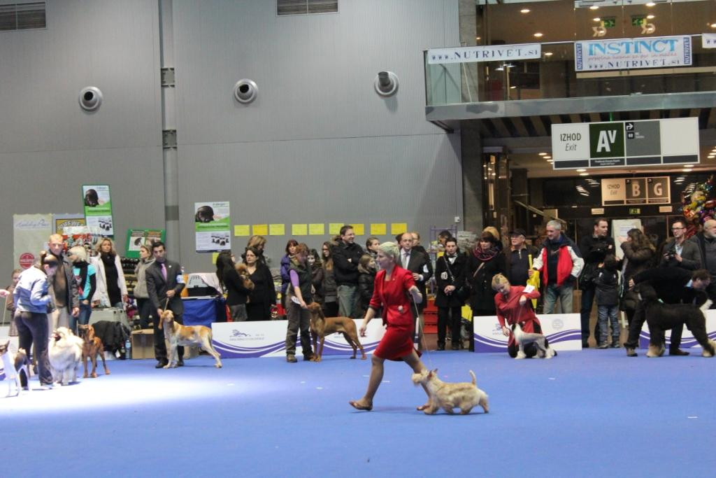 2013_01_13_7388.JPG