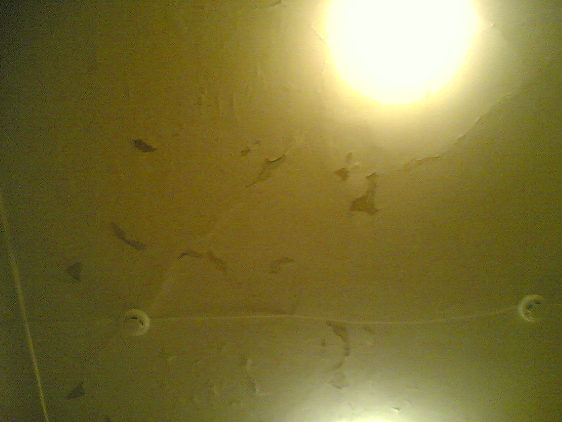 Image(006).jpg