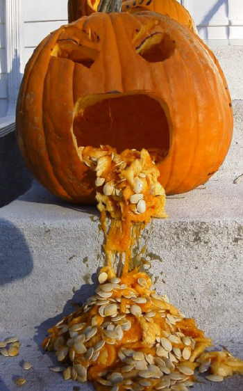 pumpkin.jpg