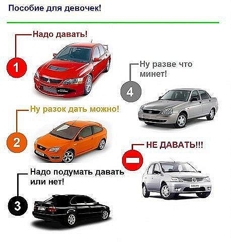 7227678.jpg