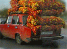 88437395.gif
