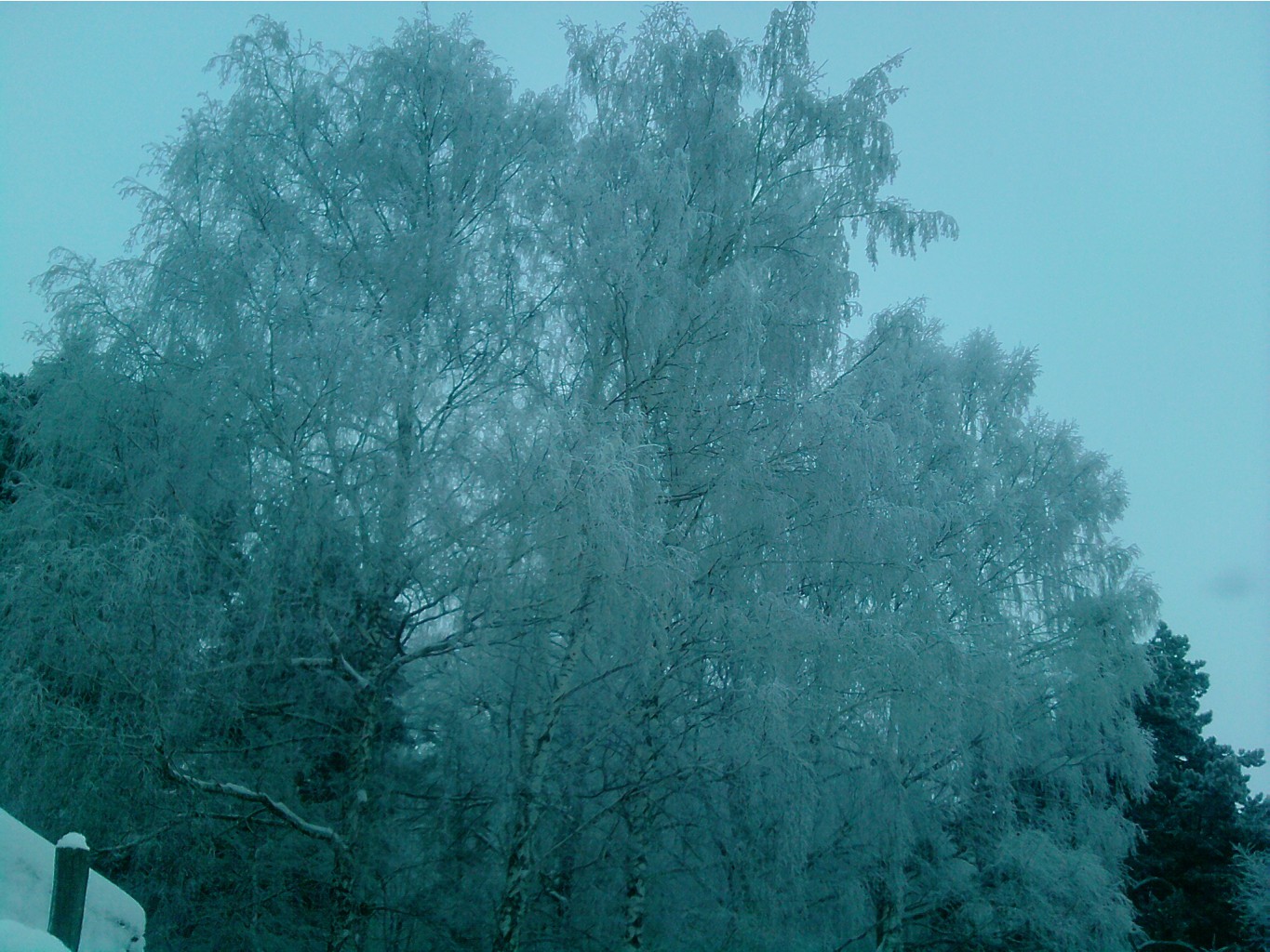 P190110_15.56.jpg