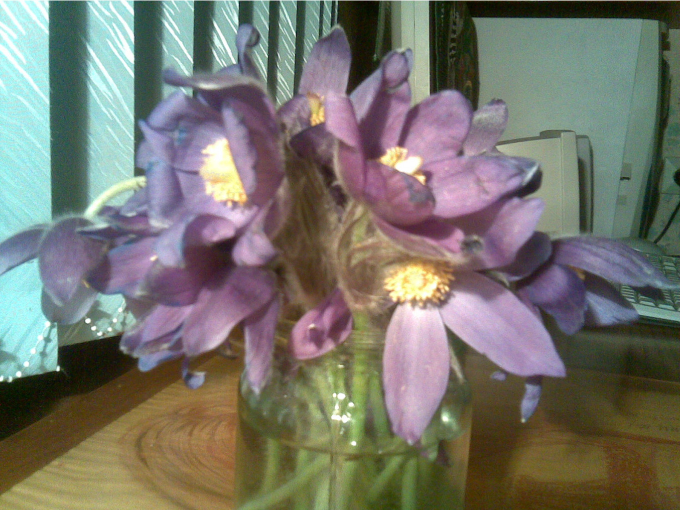 01052007.jpg