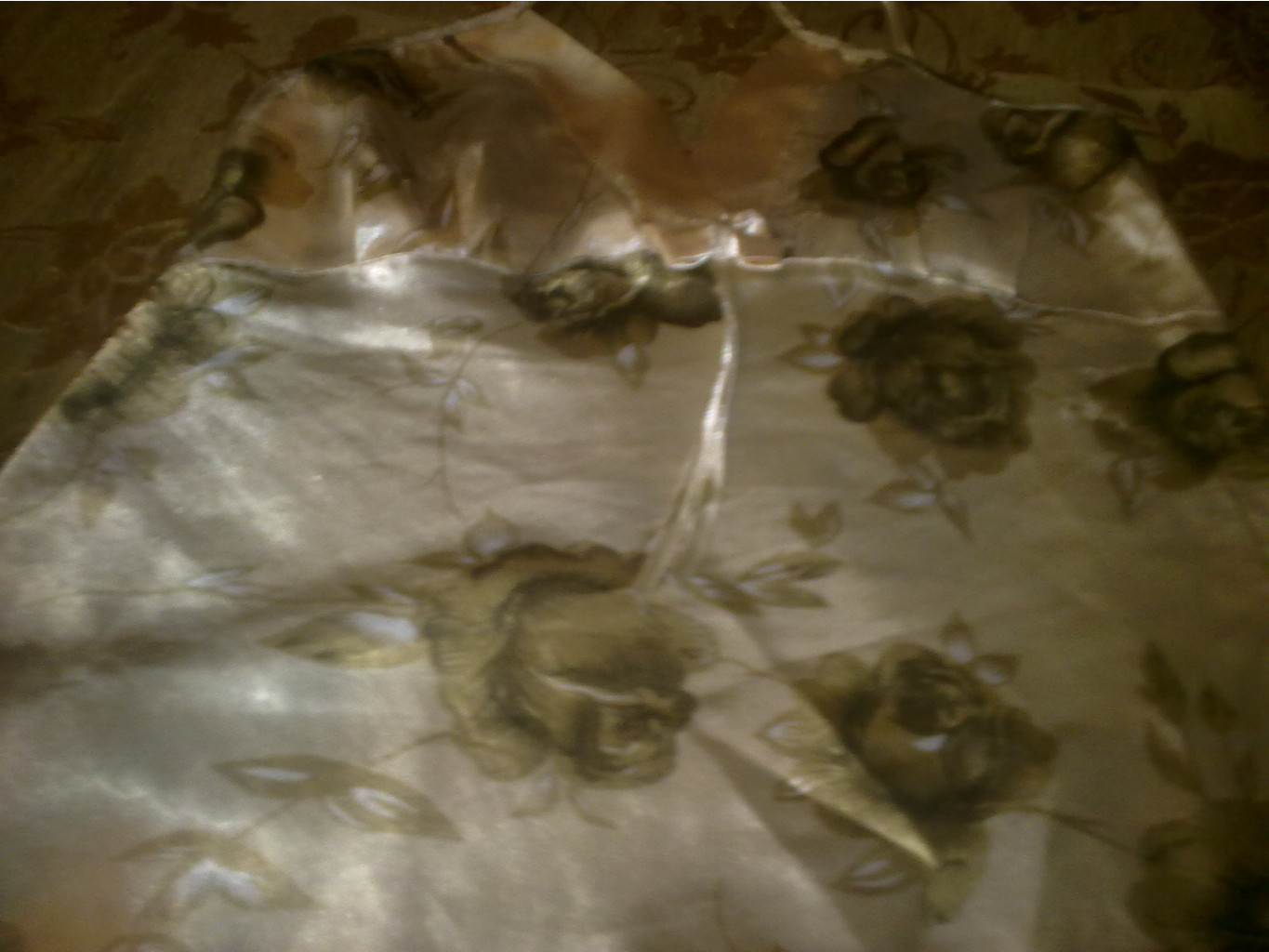 22022011488.jpg