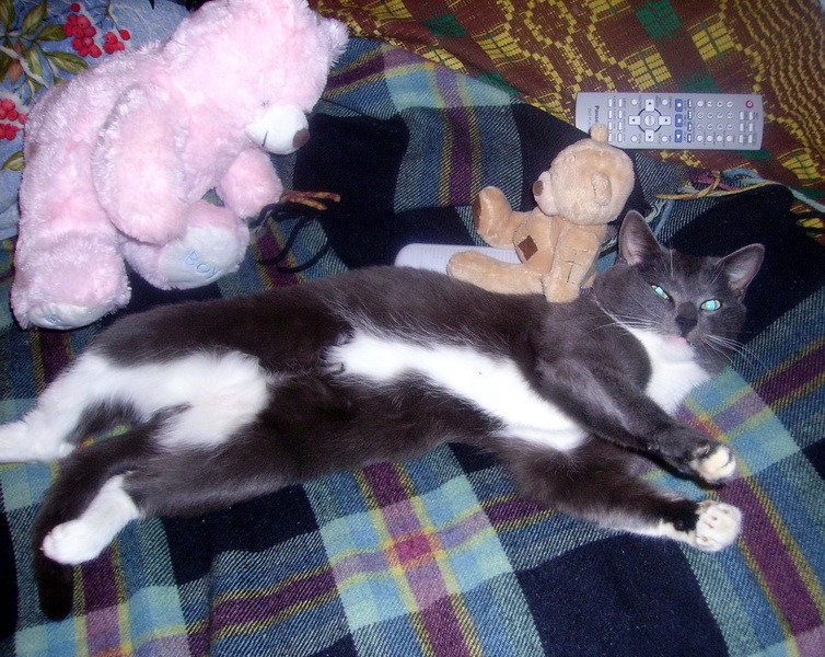 PICT1082.jpg