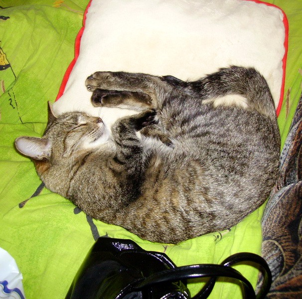 PICT9000.jpg