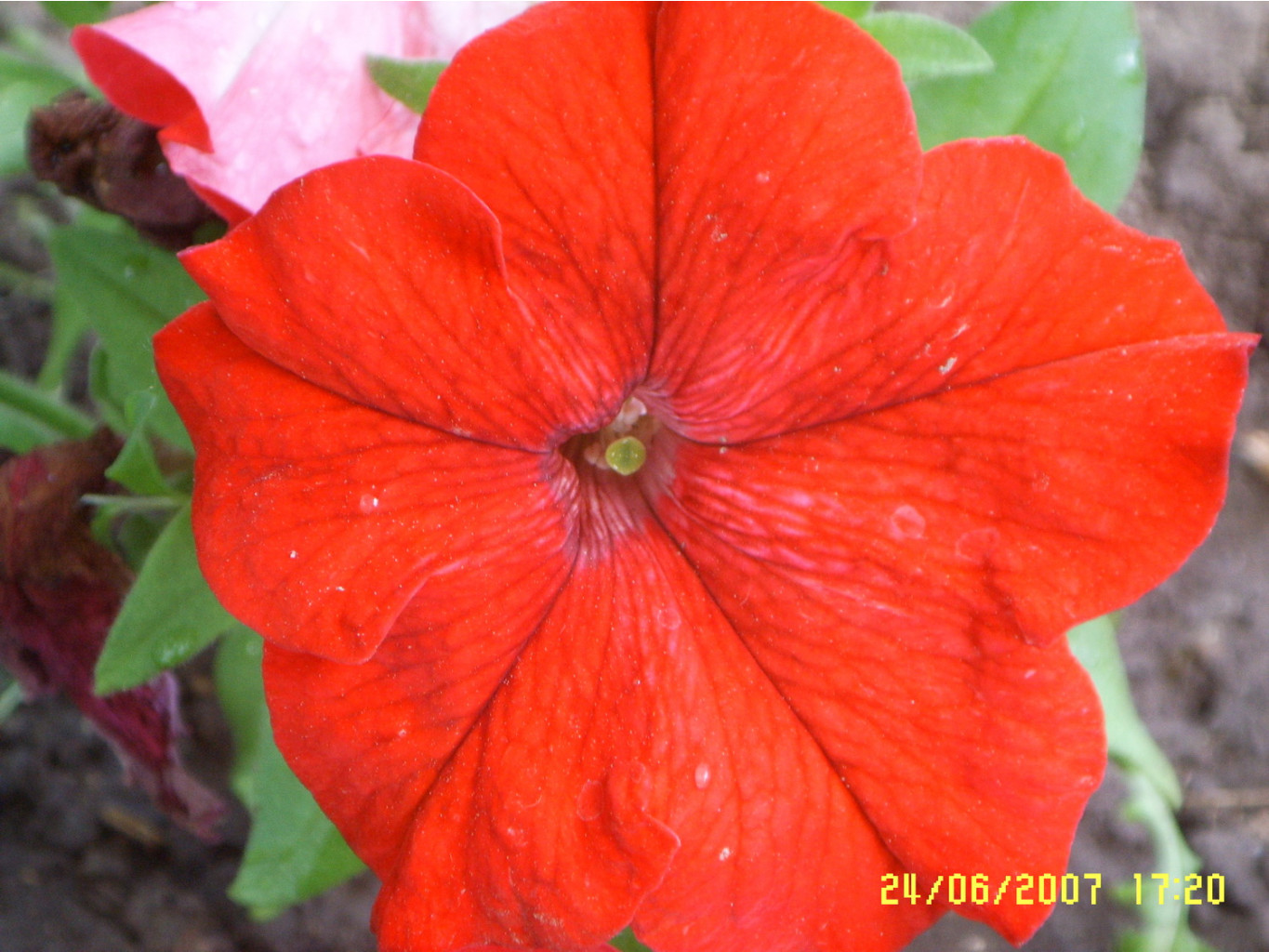 SSL10171.jpg