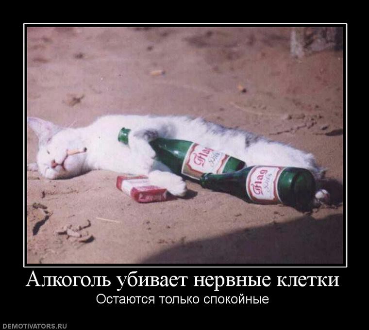 884802_alkogol-ubivaet-nervnyie-kletki.jpg