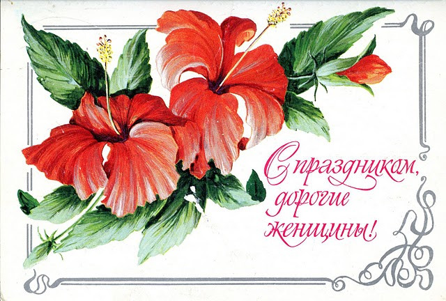 откр228.jpg