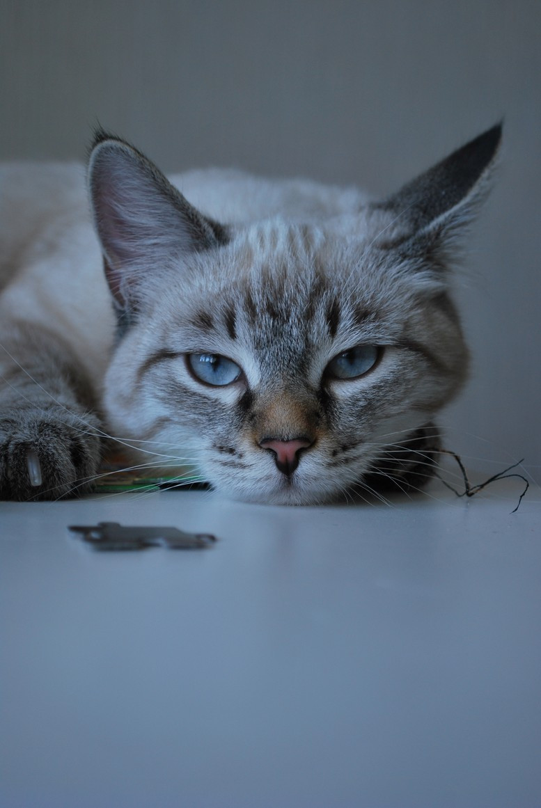 DSC_7201.JPG