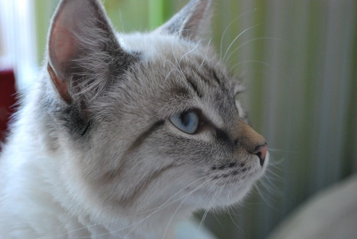 DSC_7189.JPG