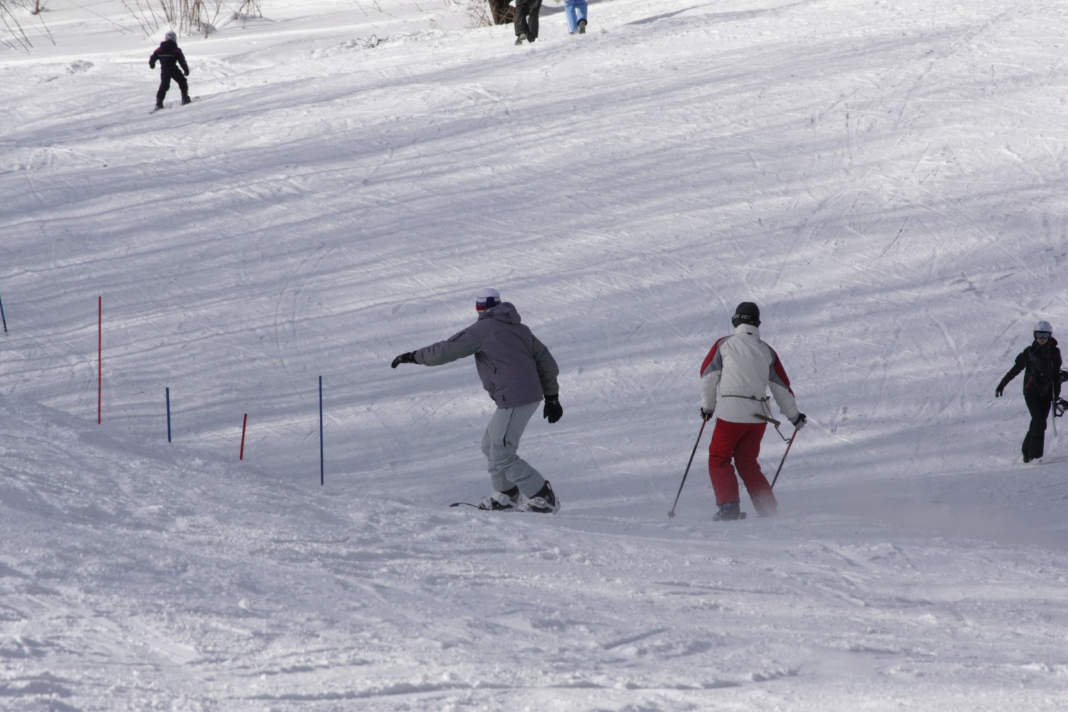 IMG_8875.JPG