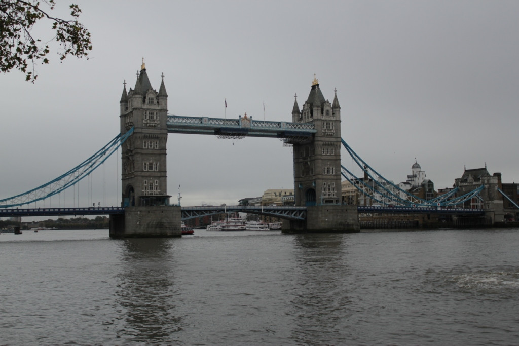 IMG_6646.JPG
