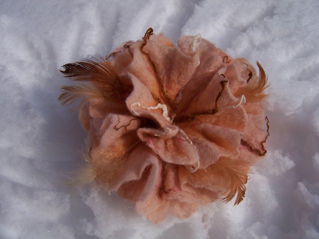 100_4799.JPG