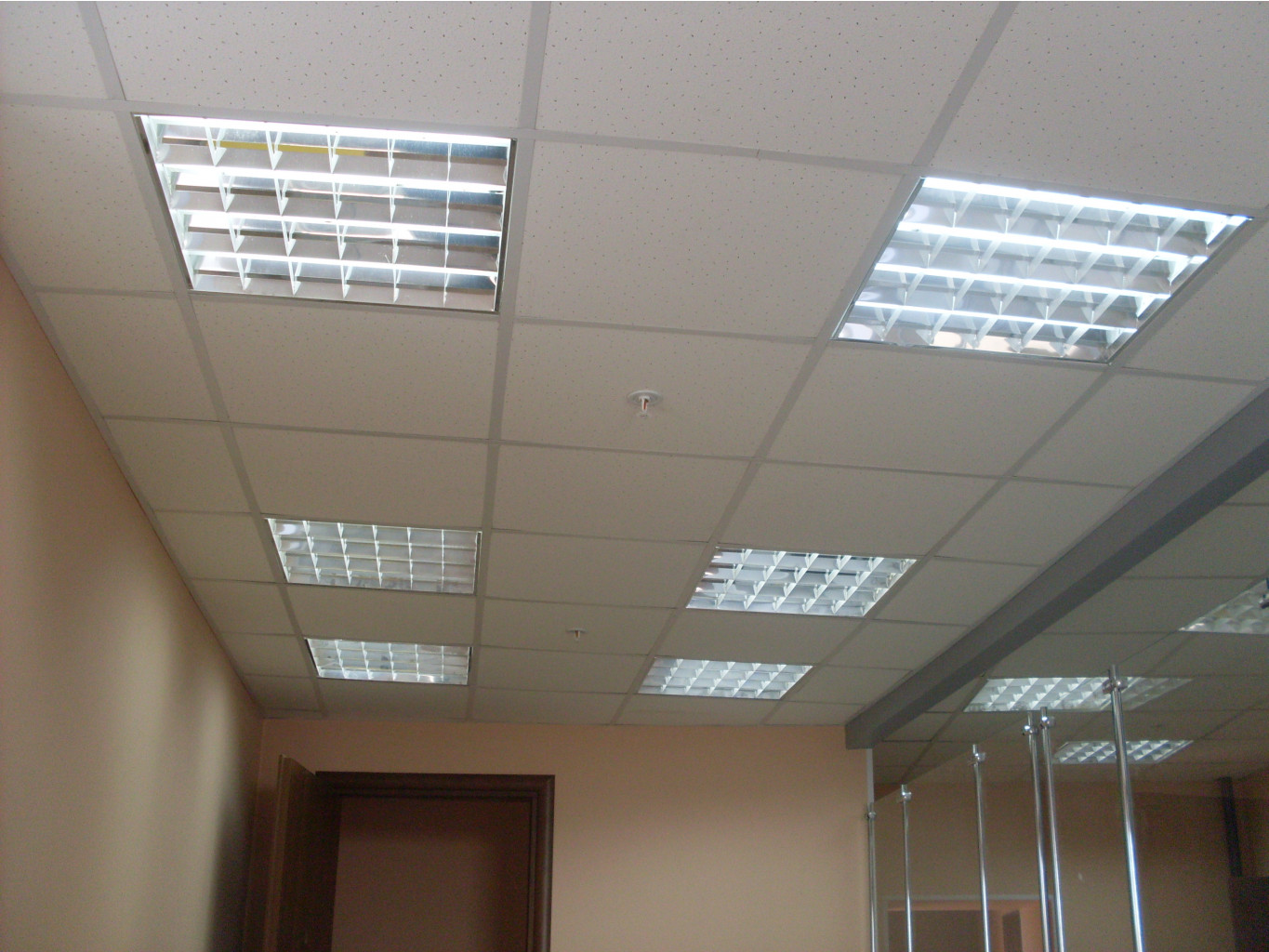 SDC11305.JPG