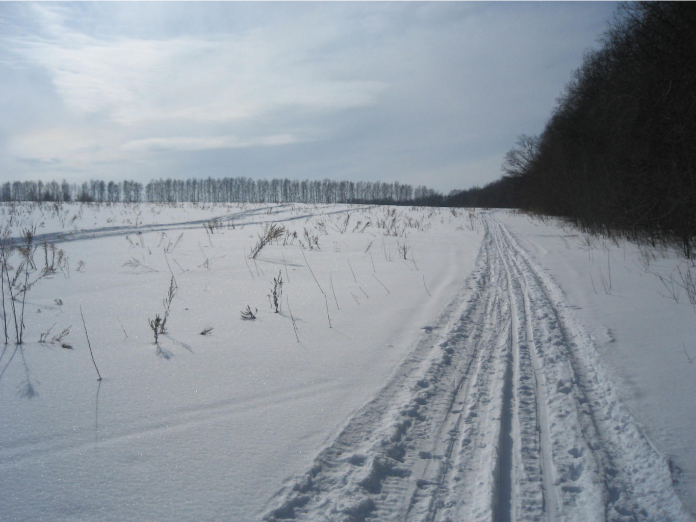 IMG_0111.JPG