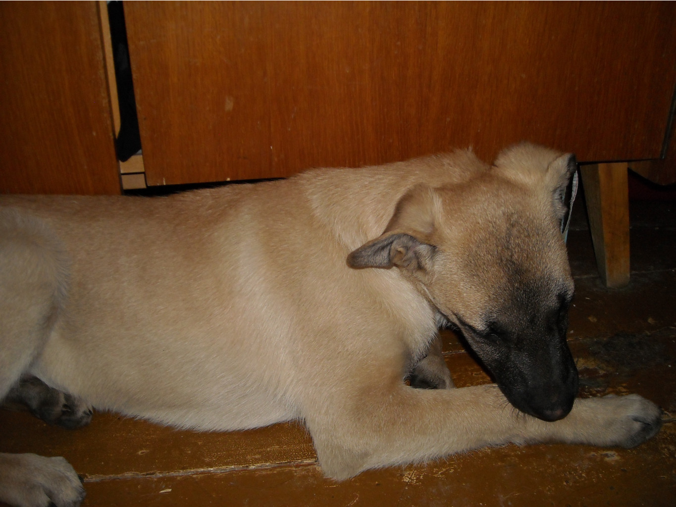 DSCN1825.JPG