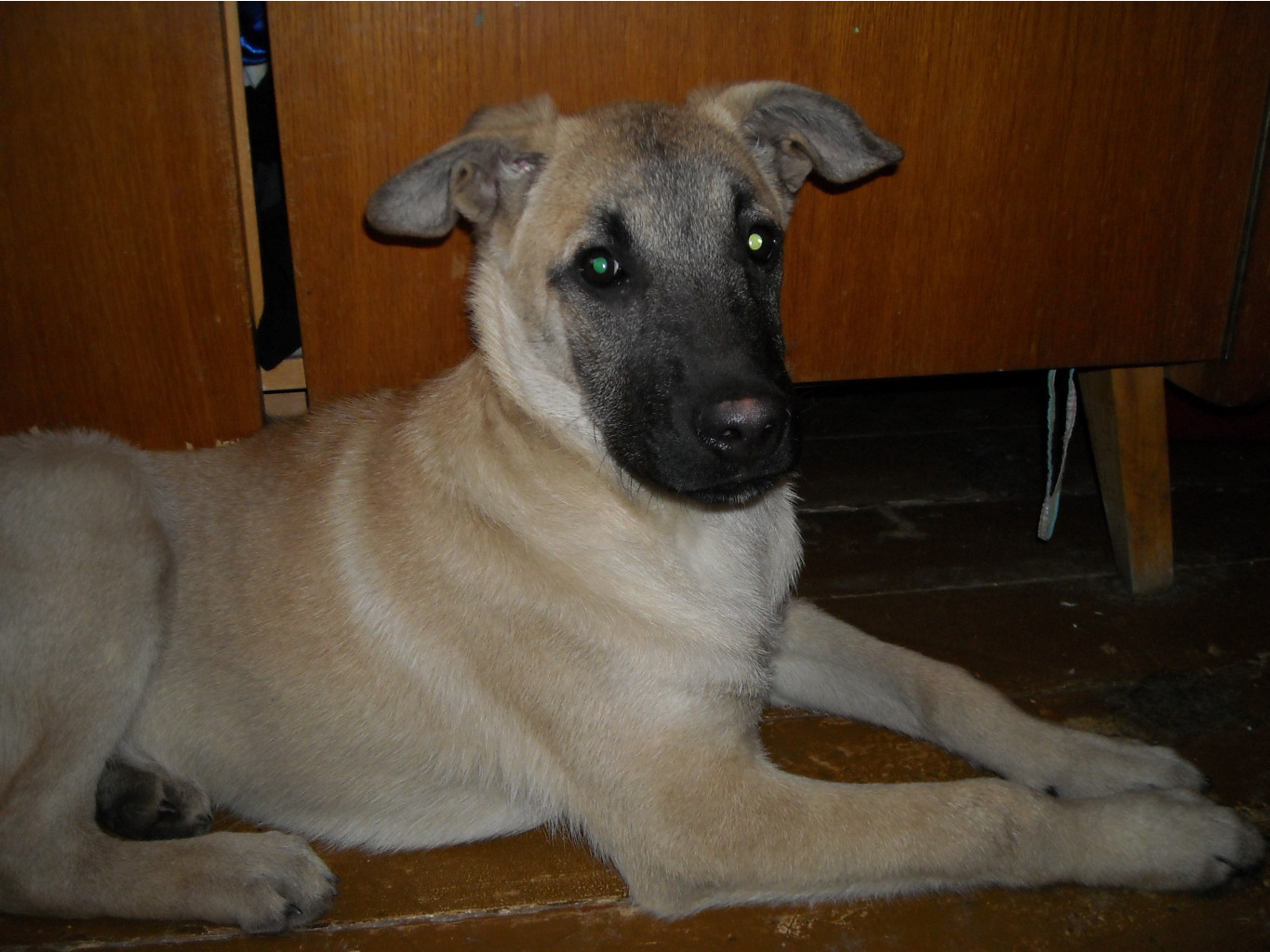 DSCN1827.JPG