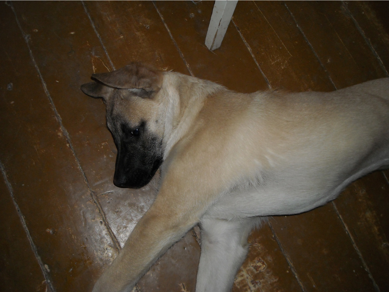 DSCN1831.JPG