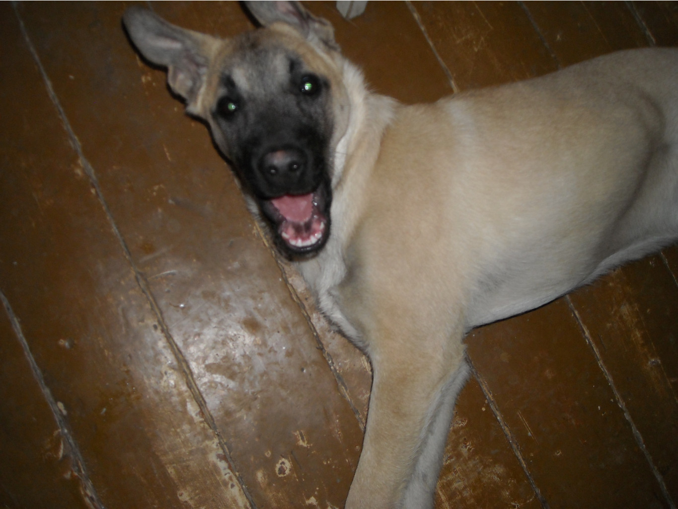 DSCN1832.JPG
