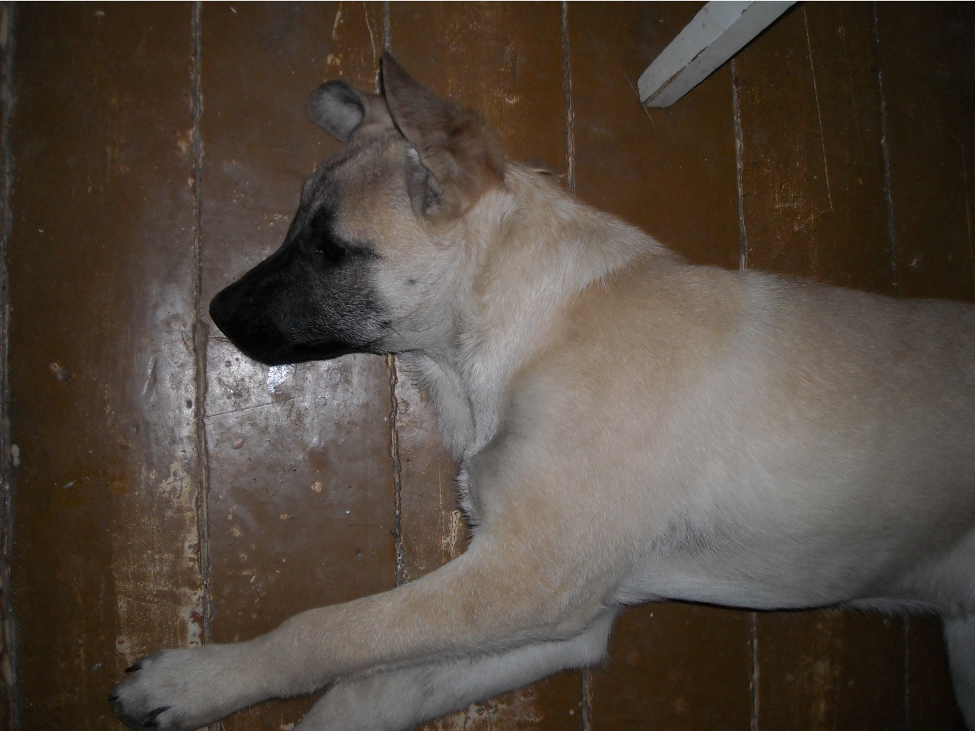 DSCN1833.JPG