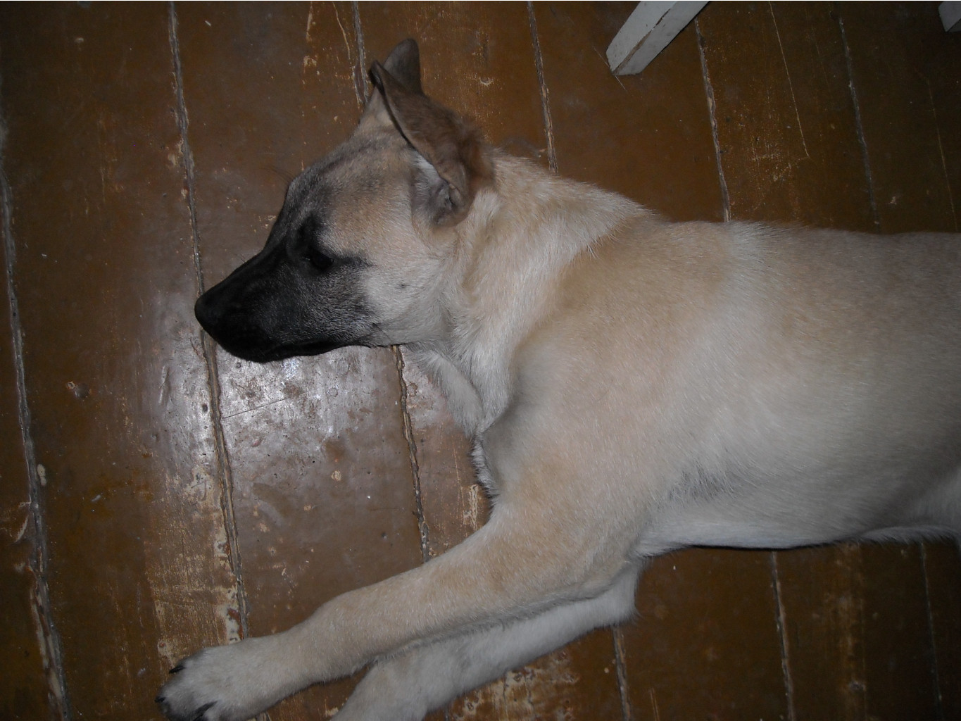 DSCN1834.JPG