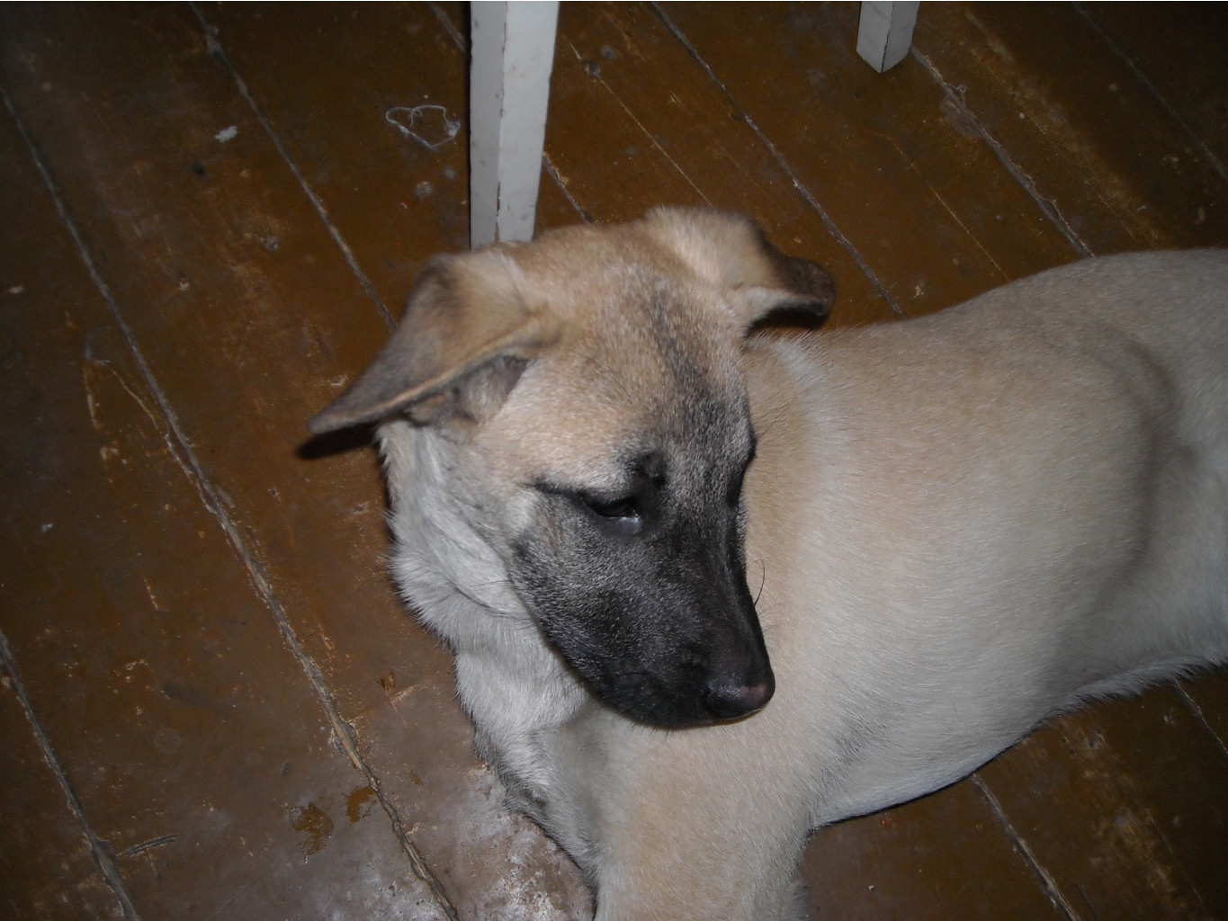 DSCN1836.JPG