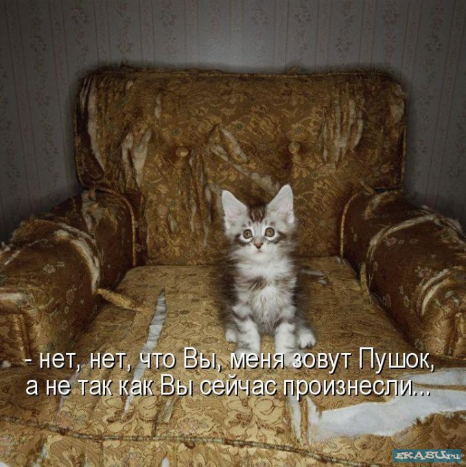 чудо.jpg