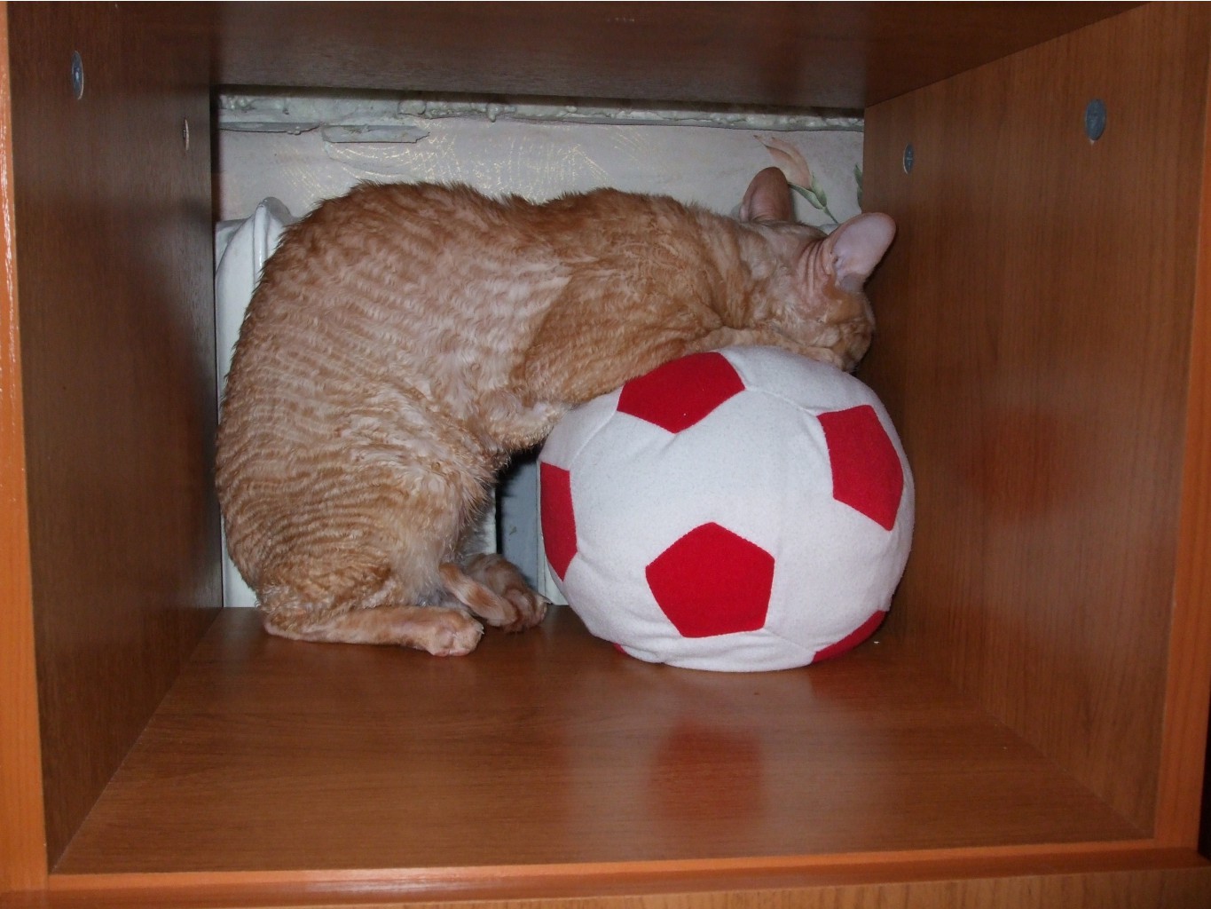 DSCF3076.JPG