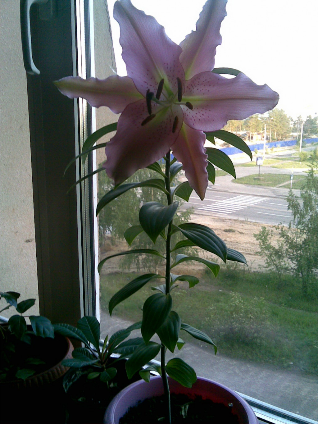26052008(002).jpg
