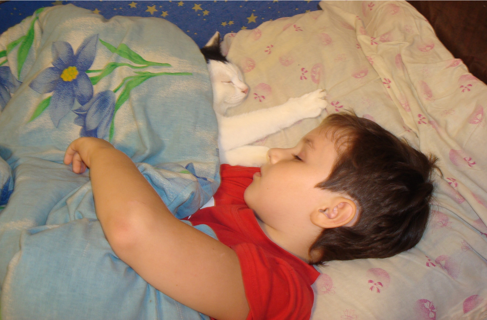 DSC00407.JPG