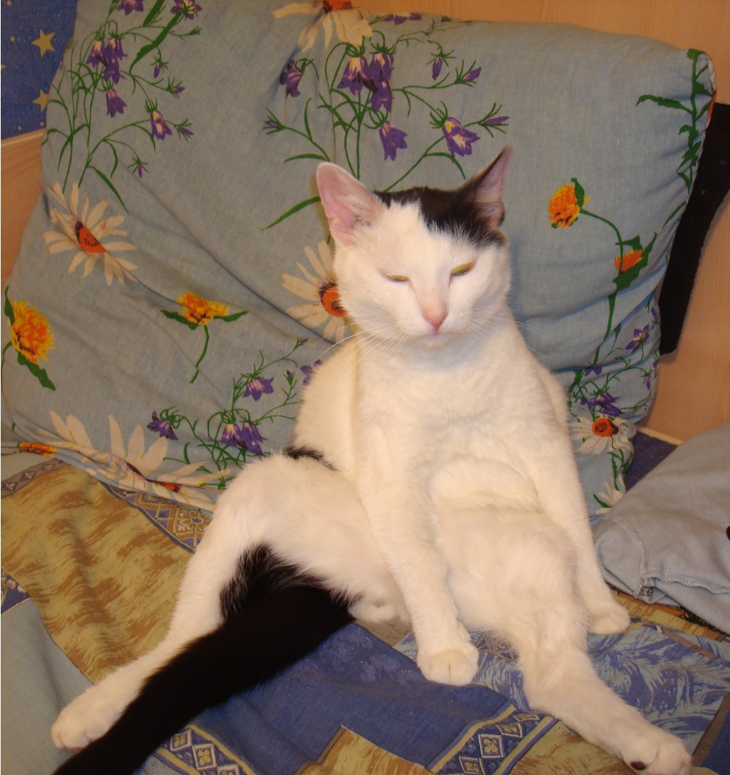DSC00502.JPG