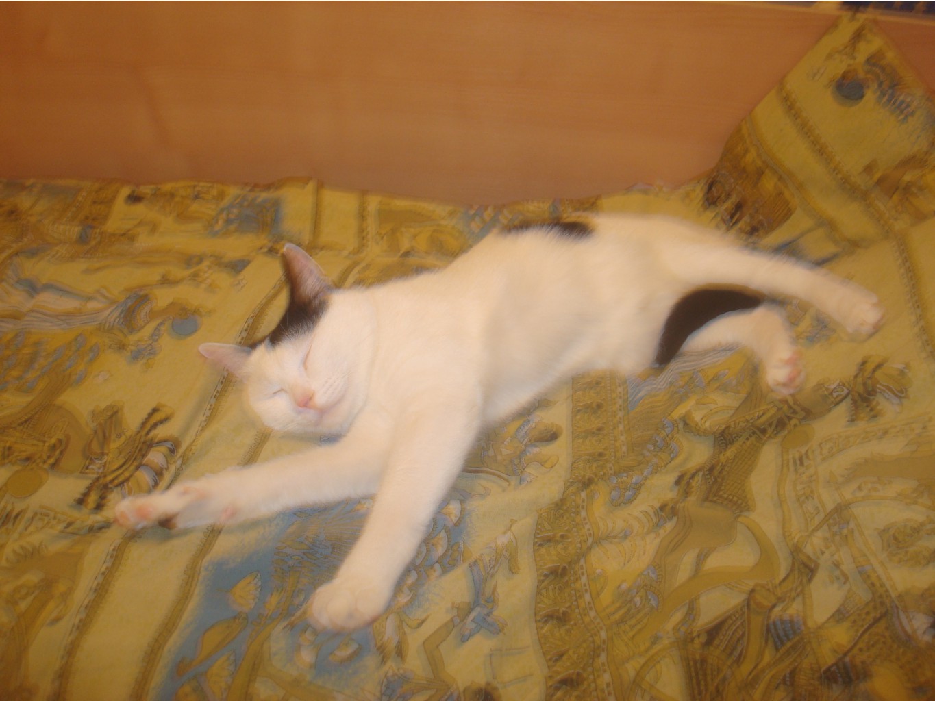 DSC00985.JPG