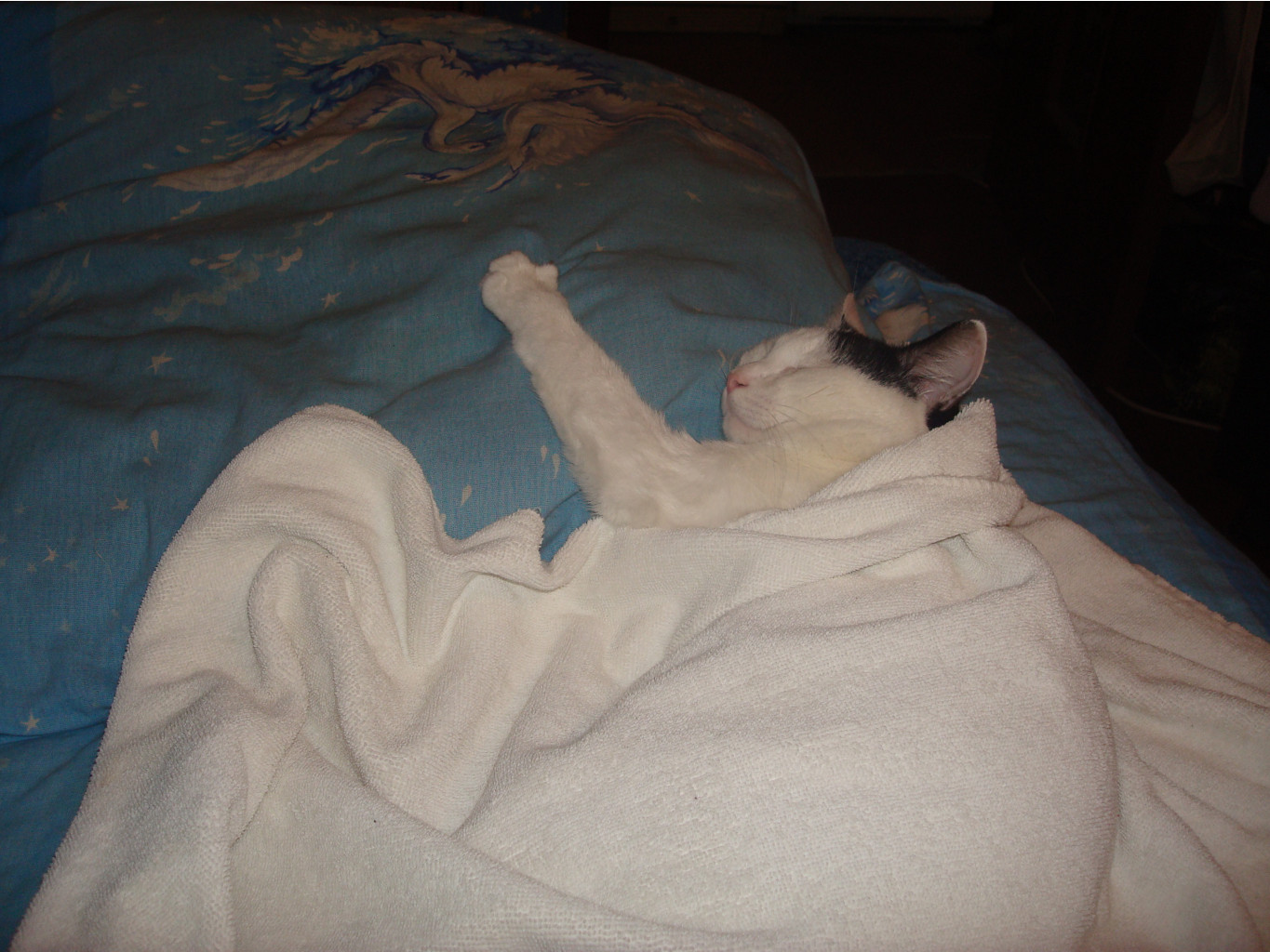 DSC01138.JPG