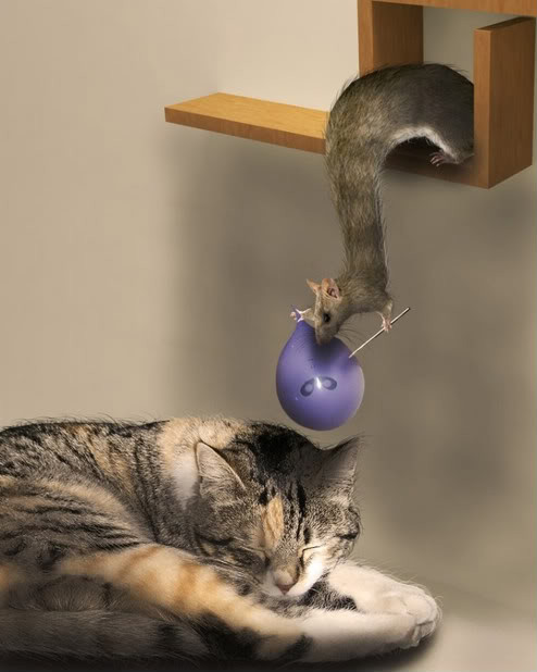 funny-mouse13.jpg